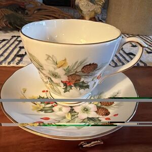 DUCHESS TEACUP / SAUCER - WINTER 411
